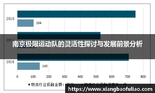 南京极限运动队的灵活性探讨与发展前景分析