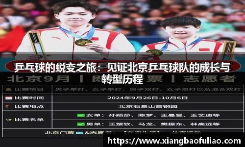 乒乓球的蜕变之旅：见证北京乒乓球队的成长与转型历程