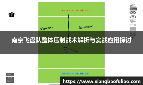 南京飞盘队整体压制战术解析与实战应用探讨