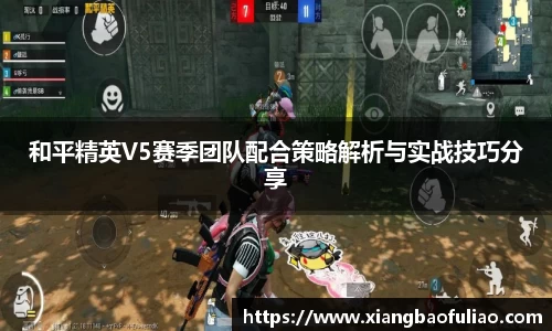 和平精英V5赛季团队配合策略解析与实战技巧分享