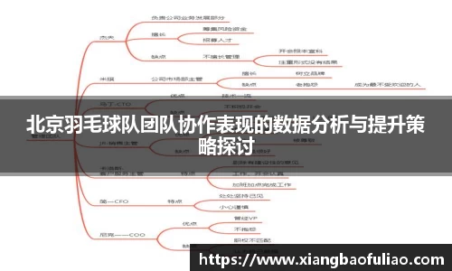 北京羽毛球队团队协作表现的数据分析与提升策略探讨