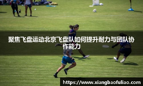 聚焦飞盘运动北京飞盘队如何提升耐力与团队协作能力