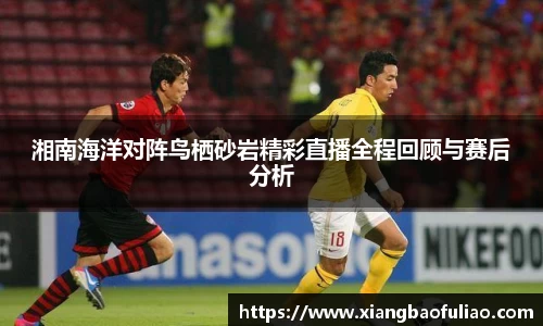 湘南海洋对阵鸟栖砂岩精彩直播全程回顾与赛后分析